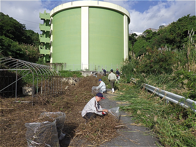 作業場所D。排水路沿いの除草とツルヒヨドリ除草の様子。